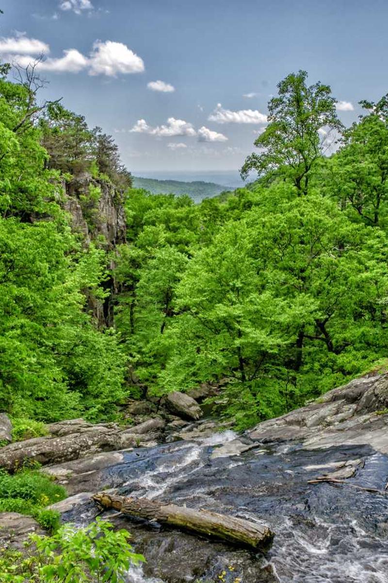 草莓+丝瓜+黄瓜+向日葵+榴莲官方版下载-草莓+丝瓜+黄瓜+向日葵+榴莲正版v1.3.5-视频动漫网站入口大全在线免费页面3