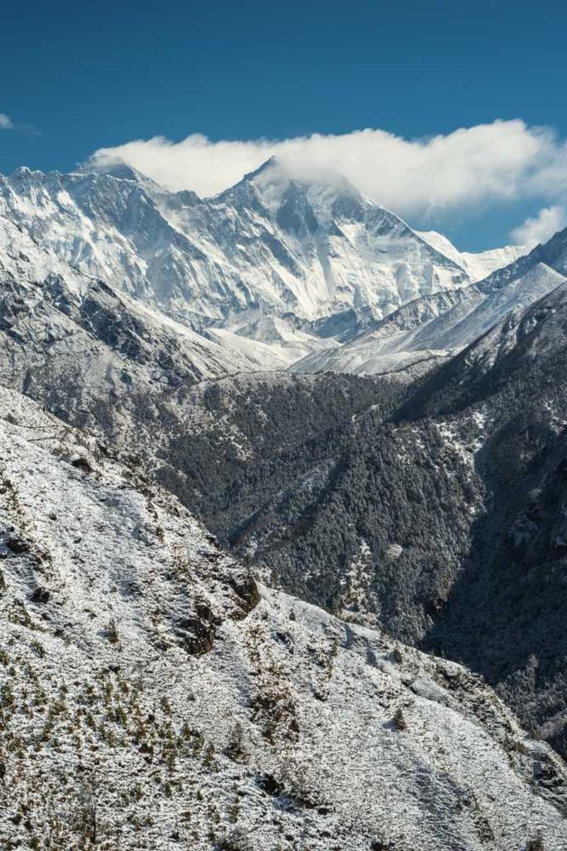 草莓+丝瓜+黄瓜+向日葵+榴莲官方版下载-草莓+丝瓜+黄瓜+向日葵+榴莲正版v1.3.5-视频动漫网站入口大全在线免费页面4