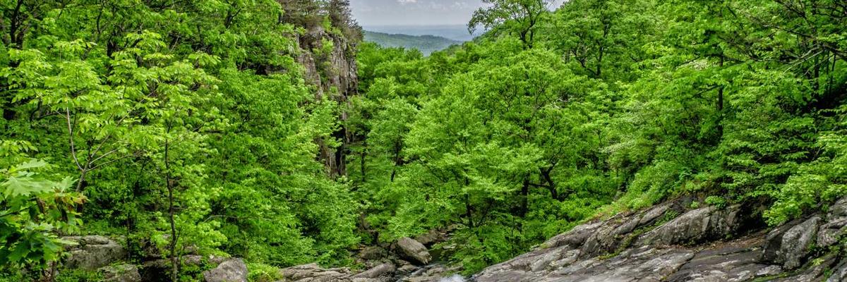 热门草莓+丝瓜+黄瓜+向日葵+榴莲官方版下载-草莓+丝瓜+黄瓜+向日葵+榴莲正版v1.3.5-视频动漫网站入口大全在线免费推荐